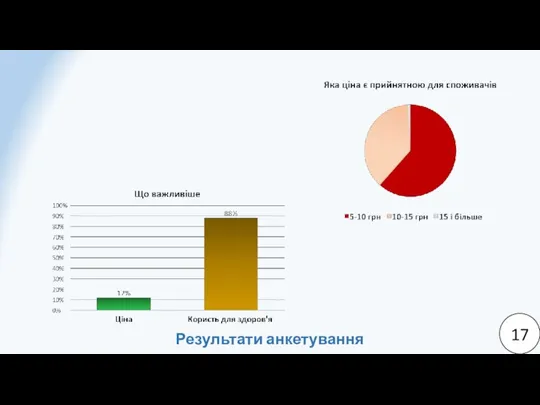 17 Результати анкетування