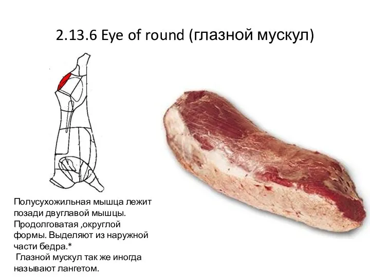 2.13.6 Eye of round (глазной мускул) Полусухожильная мышца лежит позади двуглавой