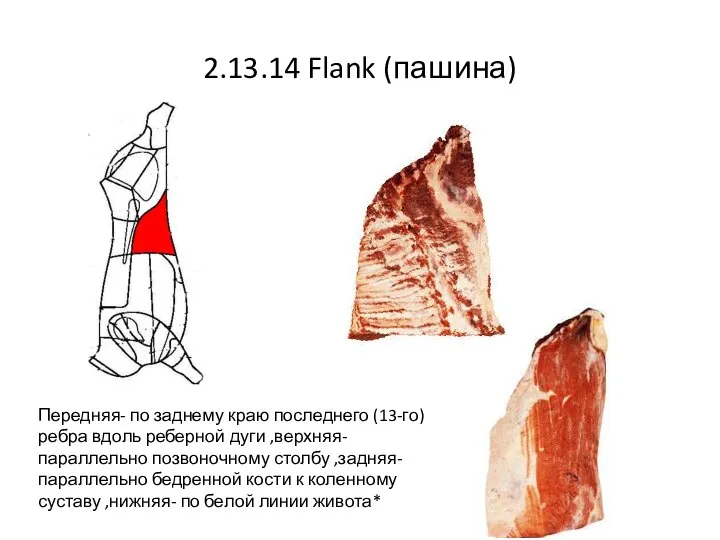 2.13.14 Flank (пашина) Передняя- по заднему краю последнего (13-го) ребра вдоль