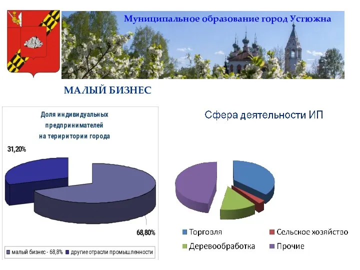 Муниципальное образование город Устюжна МАЛЫЙ БИЗНЕС