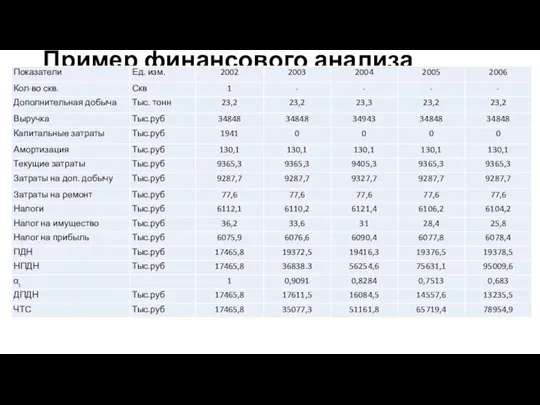 Пример финансового анализа проекта