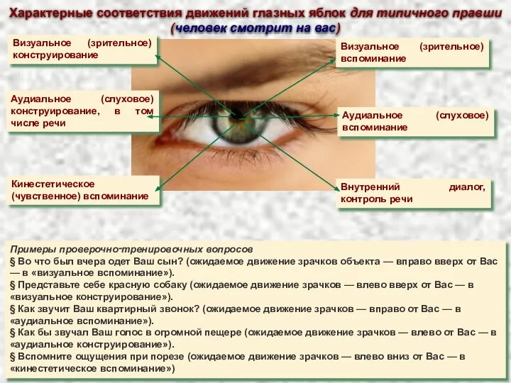 Примеры проверочно‑тренировочных вопросов § Во что был вчера одет Ваш сын?