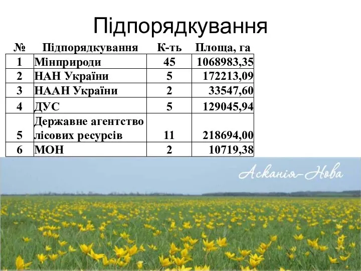 Підпорядкування