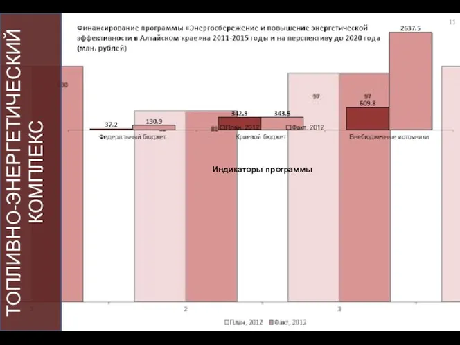 ТОПЛИВНО-ЭНЕРГЕТИЧЕСКИЙ КОМПЛЕКС Индикаторы программы