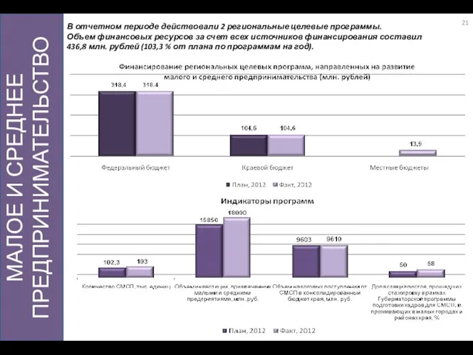 МАЛОЕ И СРЕДНЕЕ ПРЕДПРИНИМАТЕЛЬСТВО В отчетном периоде действовали 2 региональные целевые