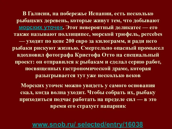 В Галисии, на побережье Испании, есть несколько рыбацких деревень, которые живут