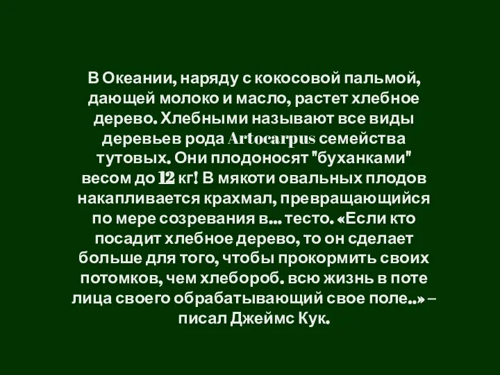 В Океании, наряду с кокосовой пальмой, дающей молоко и масло, растет