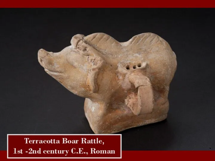 Terracotta Boar Rattle, 1st -2nd century C.E., Roman