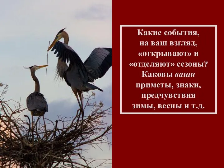 Какие события, на ваш взгляд, «открывают» и «отделяют» сезоны? Каковы ваши