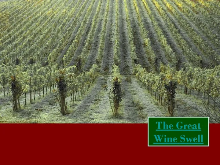 The Great Wine Swell