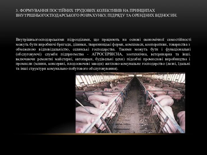 3. ФОРМУВАННЯ ПОСТІЙНИХ ТРУДОВИХ КОЛЕКТИВІВ НА ПРИНЦИПАХ ВНУТРІШНЬОГОСПОДАРСЬКОГО РОЗРАХУНКУ, ПІДРЯДУ ТА