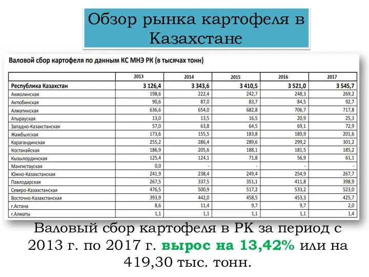 Обзор рынка картофеля в Казахстане Валовый сбор картофеля в РК за