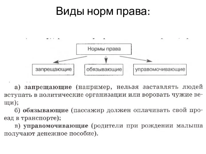 Виды норм права: