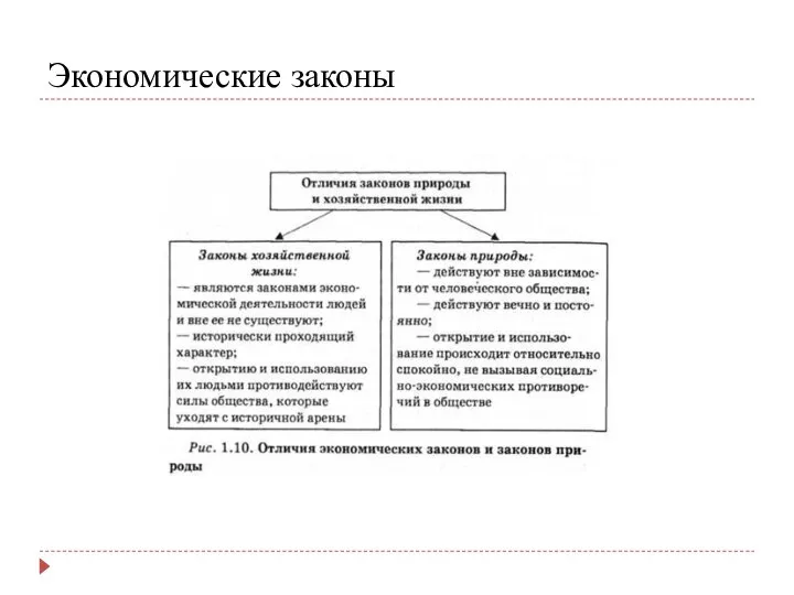 Экономические законы