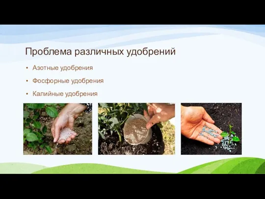 Проблема различных удобрений Азотные удобрения Фосфорные удобрения Калийные удобрения