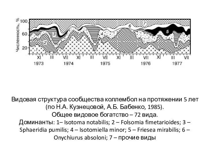 Видовая структура сообщества коллембол на протяжении 5 лет (по Н.А. Кузнецовой,