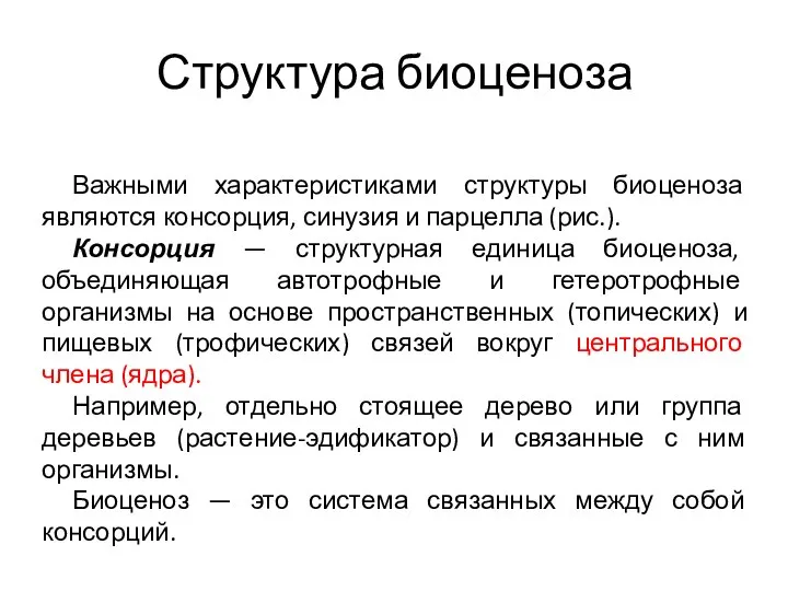 Структура биоценоза Важными характеристиками структуры биоценоза являются консорция, синузия и парцелла