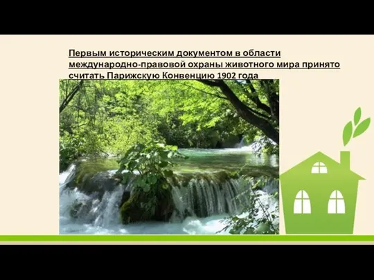 Первым историческим документом в области международно-правовой охраны животного мира принято считать Парижскую Конвенцию 1902 года