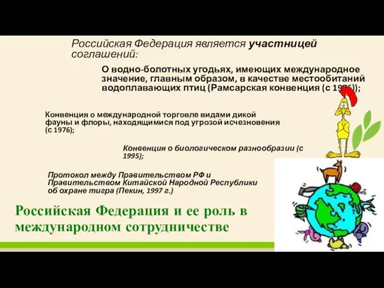 Российская Федерация и ее роль в международном сотрудничестве Российская Федерация является