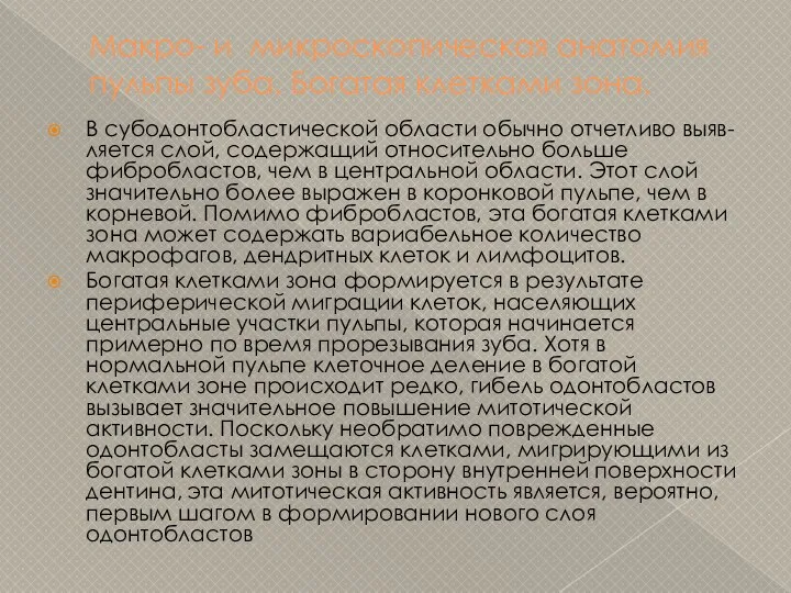 Макро- и микроскопическая анатомия пульпы зуба. Богатая клетками зона. В субодонтобластической