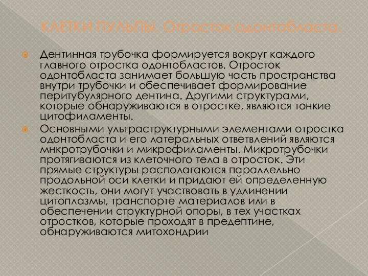 КЛЕТКИ ПУЛЬПЫ. Отросток одонтобласта. Дентинная трубочка формируется вокруг каждого главного отростка