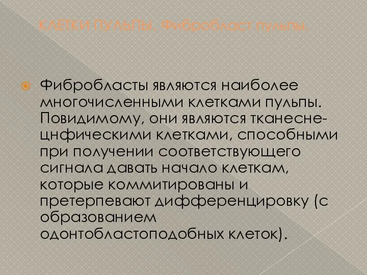 КЛЕТКИ ПУЛЬПЫ. Фибробласт пульпы. Фибробласты являются наиболее многочисленными клетками пульпы. Повидимому,