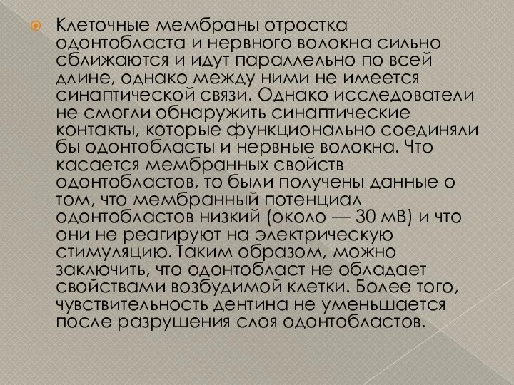 Клеточные мембраны отростка одонтобласта и нервного волокна сильно сближаются и идут