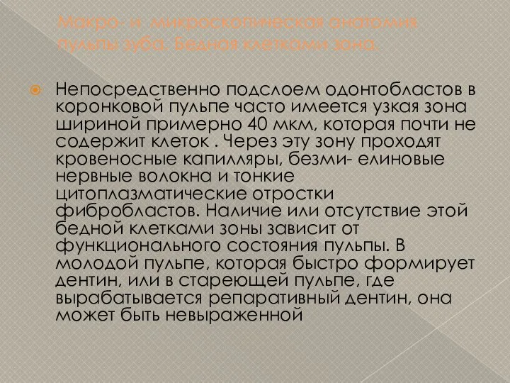 Макро- и микроскопическая анатомия пульпы зуба. Бедная клетками зона. Непосредственно подслоем