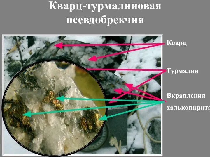 Кварц Кварц-турмалиновая псевдобрекчия Турмалин Вкрапления халькопирита