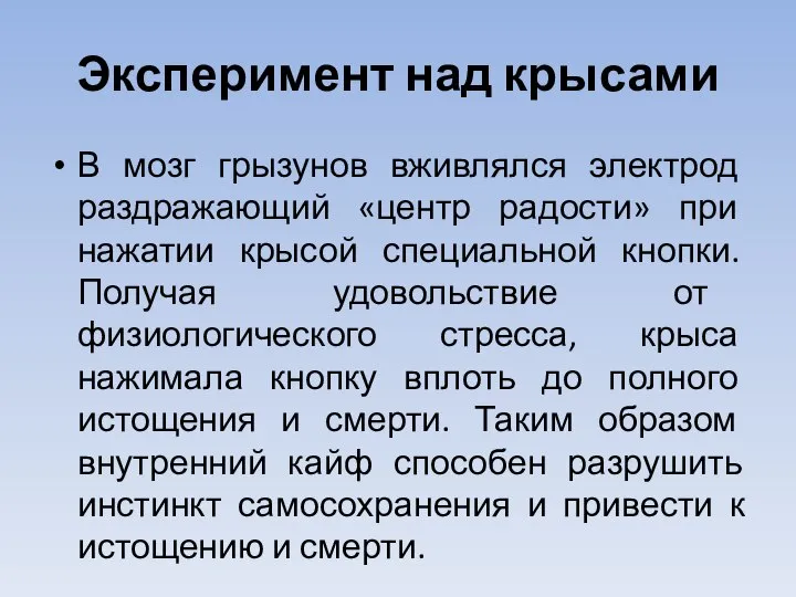 Эксперимент над крысами В мозг грызунов вживлялся электрод раздражающий «центр радости»