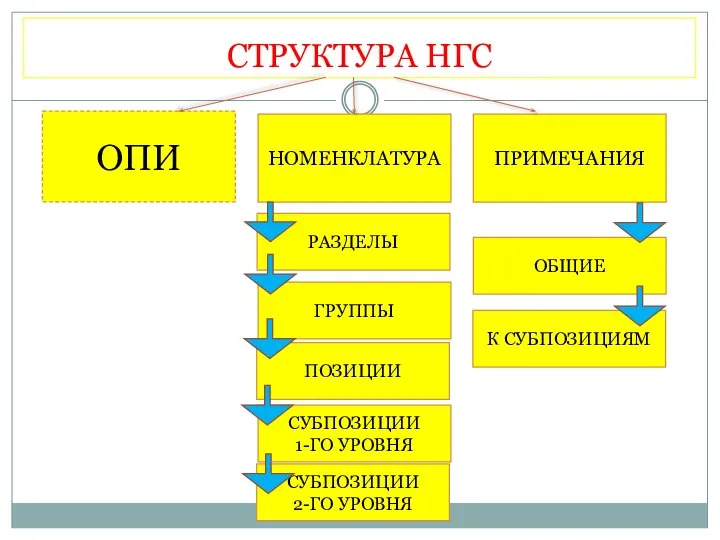 СТРУКТУРА НГС ОПИ НОМЕНКЛАТУРА ПРИМЕЧАНИЯ РАЗДЕЛЫ ГРУППЫ К СУБПОЗИЦИЯМ ОБЩИЕ ПОЗИЦИИ