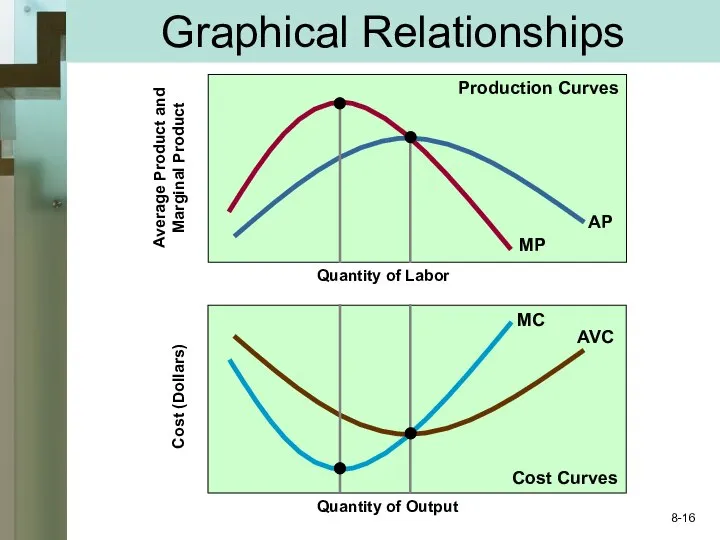 Graphical Relationships MP AP MC AVC Quantity of Output Quantity of