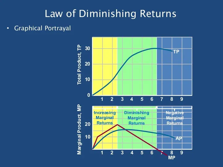 Law of Diminishing Returns Graphical Portrayal TP MP AP Increasing Marginal