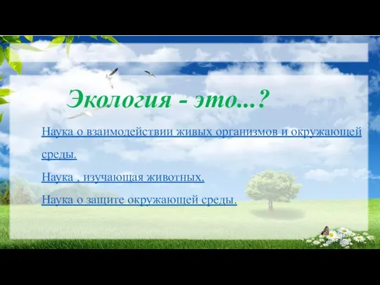 Экология - это...? Наука о взаимодействии живых организмов и окружающей среды.