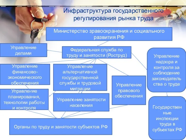 Инфраструктура государственного регулирования рынка труда Министерство зравоохранения и социального развития РФ