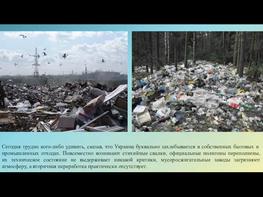 Сегодня трудно кого-либо удивить, сказав, что Украина буквально захлебывается в собственных