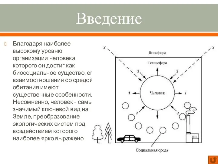 Введение Благодаря наиболее высокому уровню организации человека, которого он достиг как