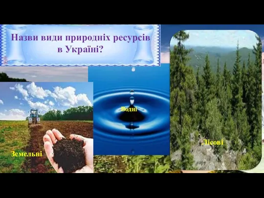 Земельні Водні Лісові Назви види природніх ресурсів в Україні?