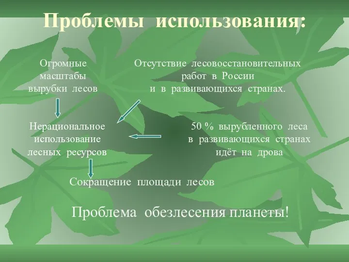 Проблемы использования: Сокращение площади лесов Нерациональное использование лесных ресурсов 50 %