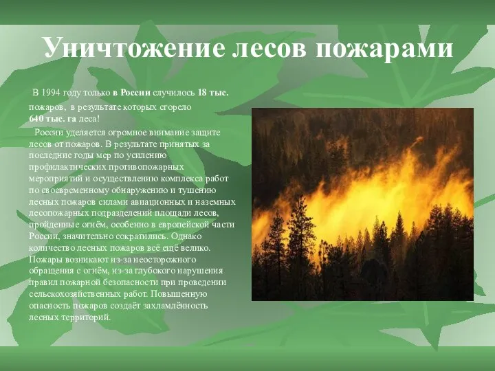 Уничтожение лесов пожарами В 1994 году только в России случилось 18