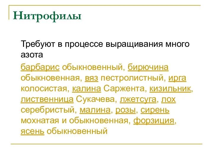 Нитрофилы Требуют в процессе выращивания много азота барбарис обыкновенный, бирючина обыкновенная,