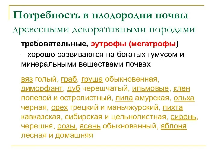 Потребность в плодородии почвы древесными декоративными породами требовательные, эутрофы (мегатрофы) –