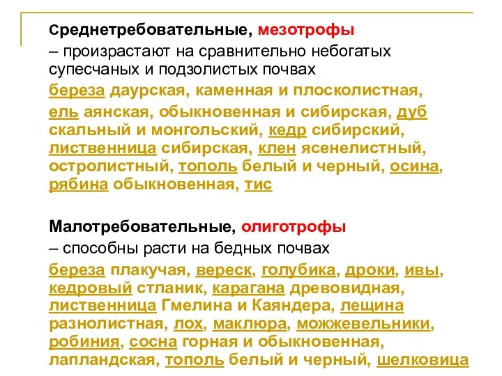 Среднетребовательные, мезотрофы – произрастают на сравнительно небогатых супесчаных и подзолистых почвах