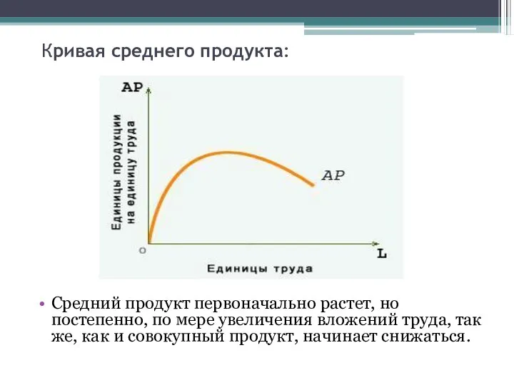 Кривая среднего продукта: Средний продукт первоначально растет, но постепенно, по мере