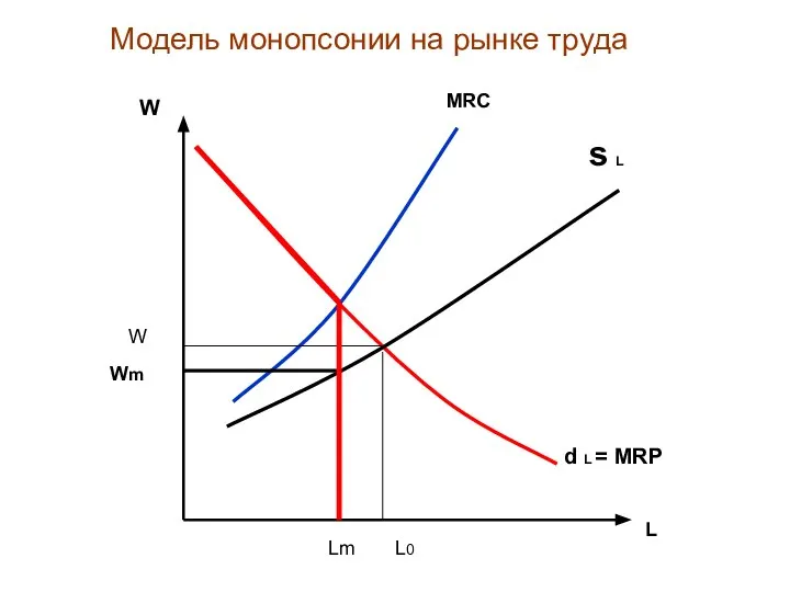 Модель монопсонии на рынке труда s L L0 Lm W L