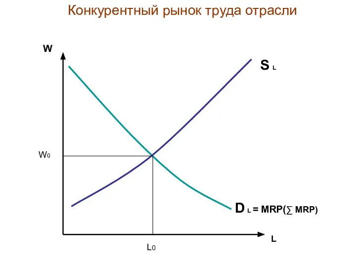 Конкурентный рынок труда отрасли W L S L D L = MRP(∑ MRP) W0 L0