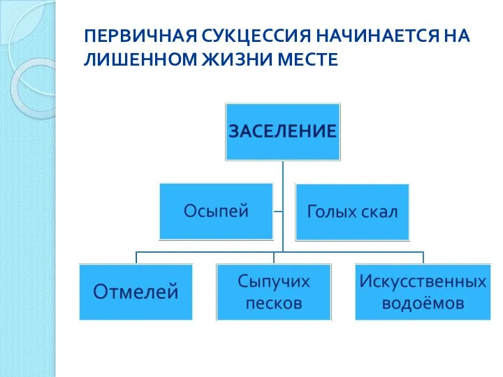 ПЕРВИЧНАЯ СУКЦЕССИЯ НАЧИНАЕТСЯ НА ЛИШЕННОМ ЖИЗНИ МЕСТЕ