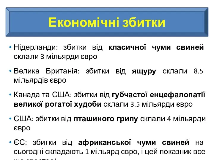 Економічні збитки Нідерланди: збитки від класичної чуми свиней склали 3 мільярди