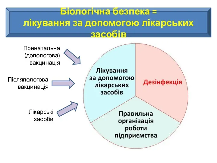 Біологічна безпека = лікування за допомогою лікарських засобів Пренатальна (допологова) вакцинація Післяпологова вакцинація Лікарські засоби