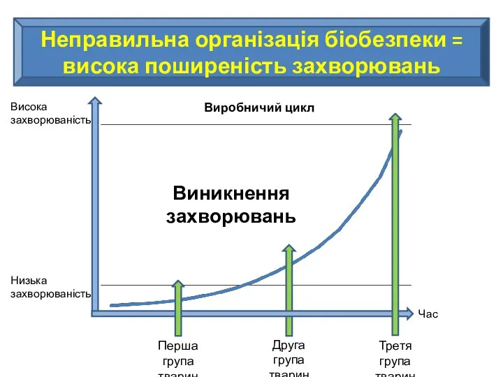 Неправильна організація біобезпеки = висока поширеність захворювань Виникнення захворювань Перша група